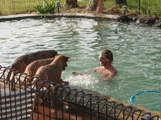 Freizeitgestalltung im Ned Kelly's