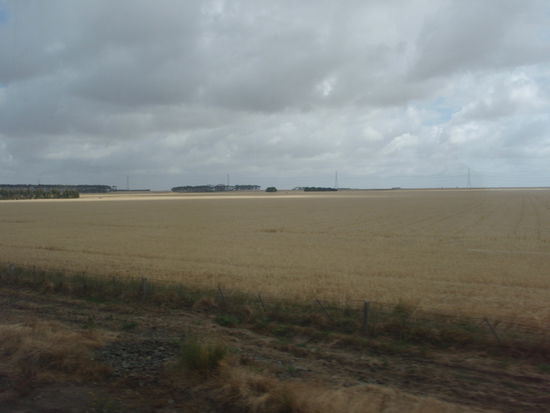 So, oder ab und zu mit ein paar vereinzelten Bauemen mehr, sah es fast die ganze Zeit aus.