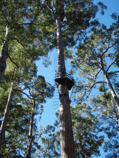 Das Mittelstueck mit der ersten Platform bei 25 Metern.