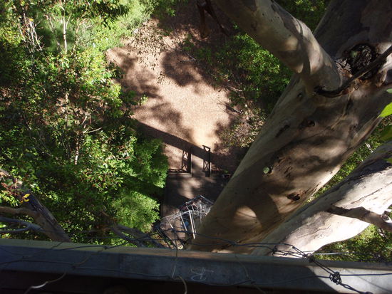 Der fuer mich eher angsteinfloessende Blick auf den Boden der Tatsachen. Spaeter waren zu viele Aeste im Weg um freies Sichtfeld zu haben.