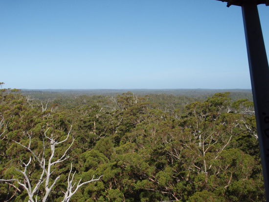 Ueber den Bauemen, muss die Freihheit wohl Grenzenlos sein....