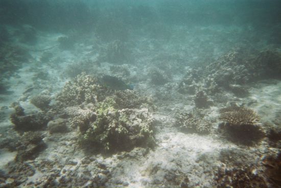 Leider kommen die super Farben bei weitem nicht so gut rueber