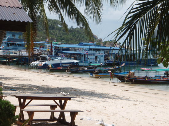 Das erste große blaue Boot rechts hinter der Palme brachte uns zu den Tauchplätzen.