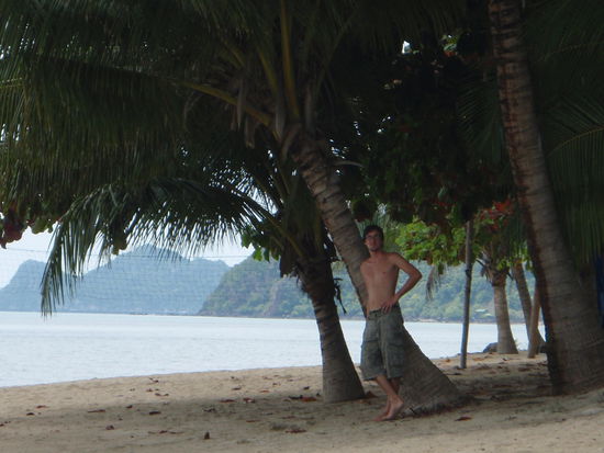 Tobi unter Palmen. Herrlich ramontisches Bild 