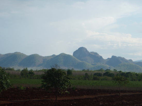 Wo die Natur die Oberhand hat ein Blick aus der Todeseisenbahn