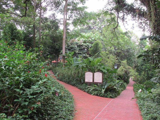 Im Fort Canning Park