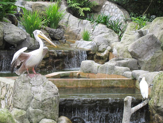 Fragt mich aber net wie die alle hießen