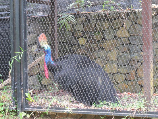 Manche waren auch eingesperrt