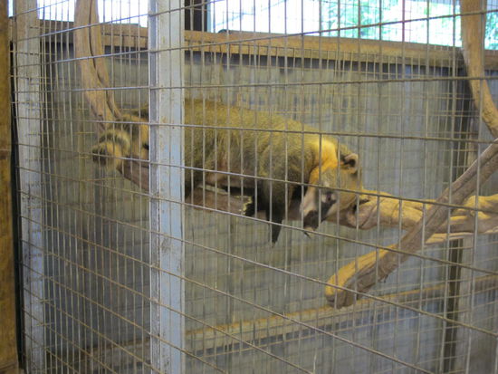 ...aber ich will keine Namen nennen 