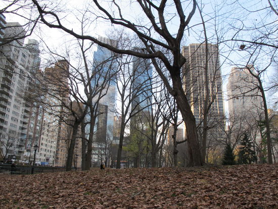 Die zwei bläulich schimmernde Gebäude gehören zum Komplex am Columbus Circle
