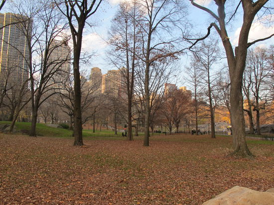 Sieht mehr nach Herbst aus, als nach Winter