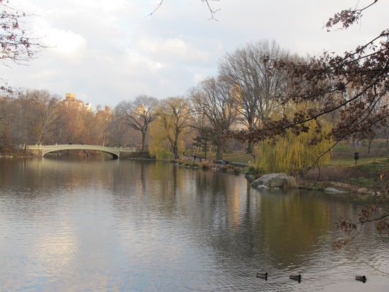 Auf der Brücke hab ich mir im Sommer fast die Finger verbrannt, daß Geländer war sehr heiß