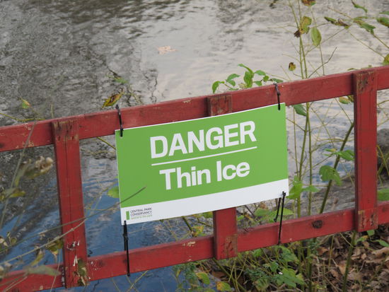 Das Eis war so dünn, daß man es gar net gesehen hat 