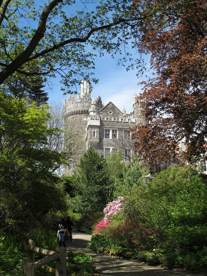 Nochmal vom Garten aus