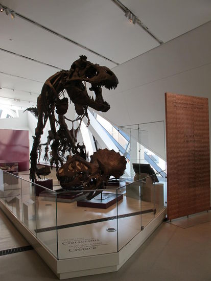 Der T-Rex darf natürlich net fehlen