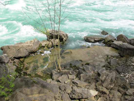 Ein kleiner Ruhe-pool 