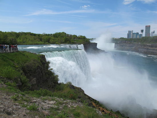 Gestern hab ich sie nur von Weitem gesehen