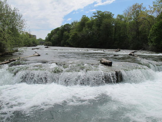 Einer von den kleinen Brüdern der Fälle