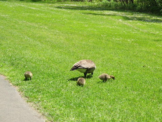 Da wars noch friedlich