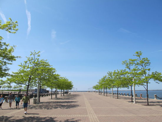 Mein Weg zum Eriesee