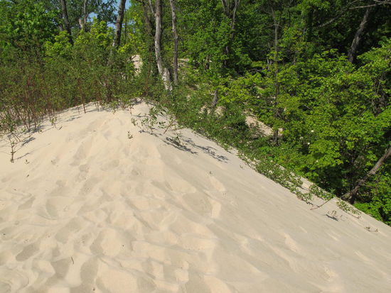 Auf der Spitze der Düne