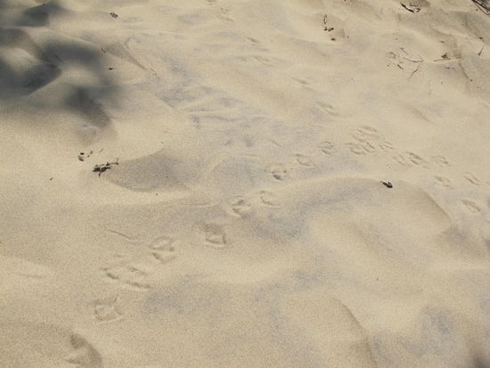 Da war scho jmd vor mir da