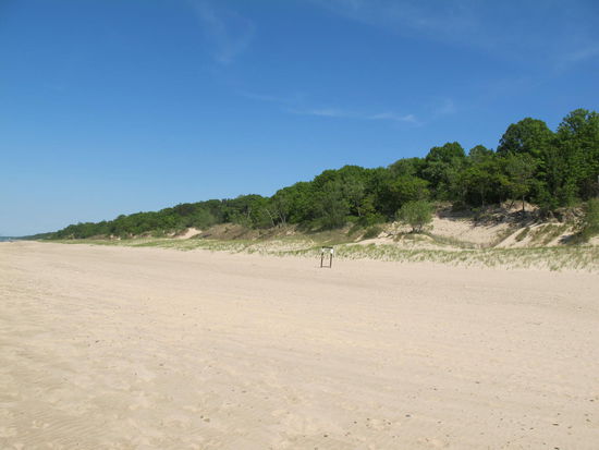 Hinterm Strand beginnen gleich die Dünen