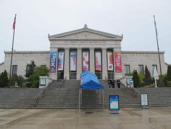 Das Shedd Aquarium