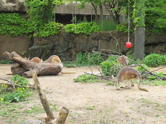 Dabei bin ich gar net in Australien, wobei es mal wieder Zeit wird 