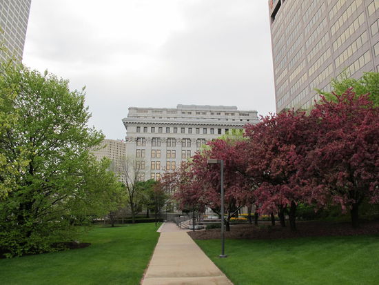 Es blüht oft sehr schön hier