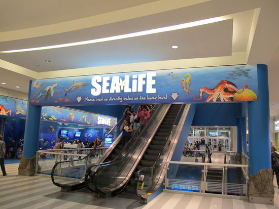 Für Leni  (gibts hier immer in der Mall)