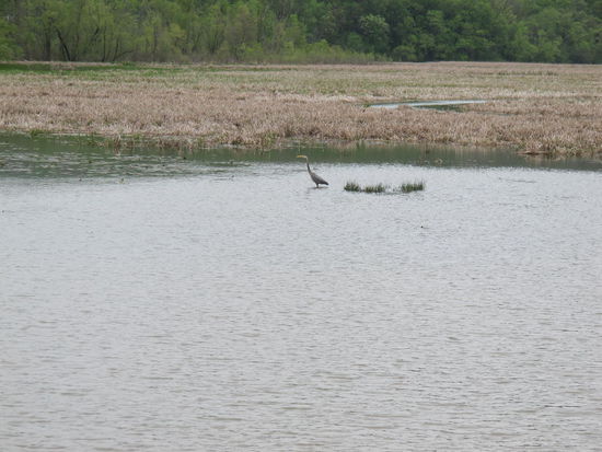 Ein kleiner See neben nem Campingplatz