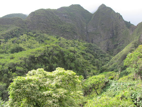 Im Iao Valley State Park