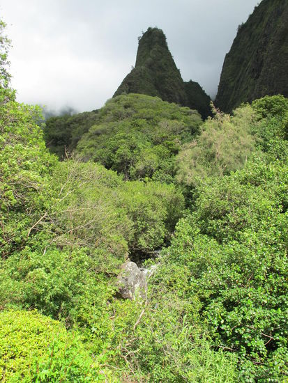 Iao Needle von Weitem...
