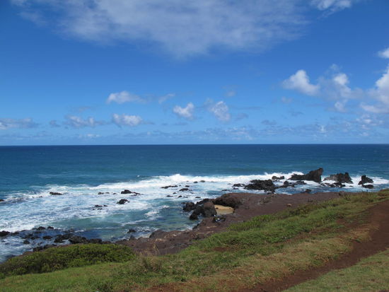 Einer war sogar ziemlich nah an den Felsen hier