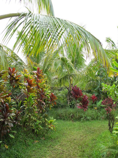 Aufm Weg zu den Twin Falls