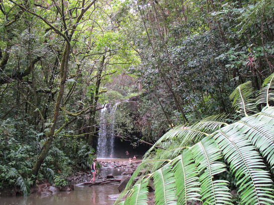 Die Twin Falls von Weitem...