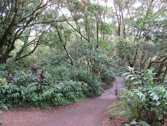 Aufm Weg war wiedermal ein kleiner Bach den man überqueren mußte
