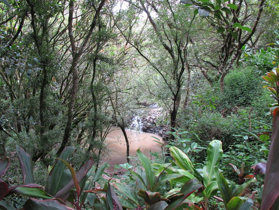 Noch ein kleiner Wasserfall aufm Rückweg zum Highway