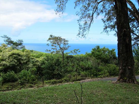 Am Start des Waikamoi Nature Trail, was ein kurzer Rundweg is, den ich zum Glück richtig rum gelaufen bin (rauf beim rutschigen, schwierigen Teil, runter beim Leichteren)