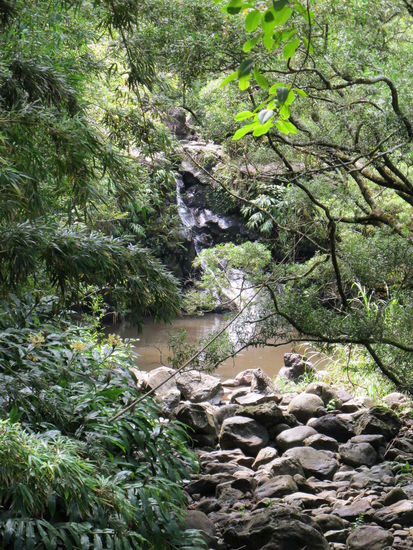Waikamoi Falls