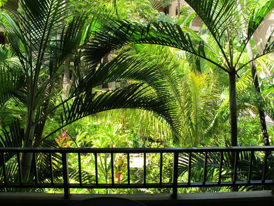 Mein Blick vom Balkon
