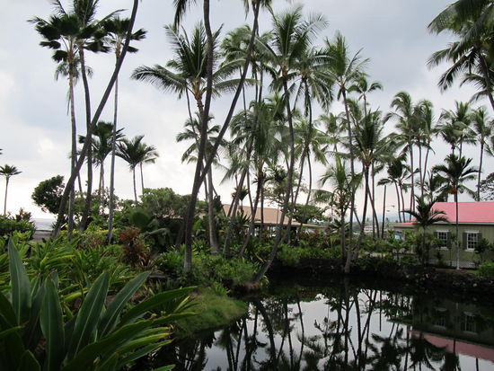 Mehr Bilder von der Anlage gibts wenns Wetter besser is