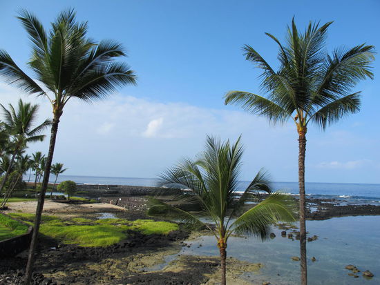 Blick nachm Aufstehen vom Balkon 