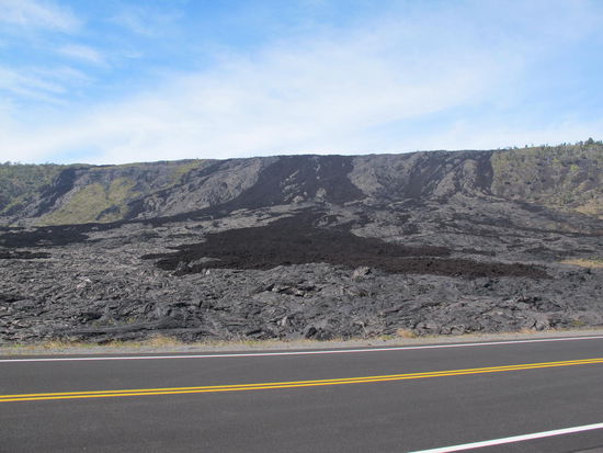 Das Dunkle sind keine Pflanzen, sondern Lava, anscheinend noch dunkler als der Rest