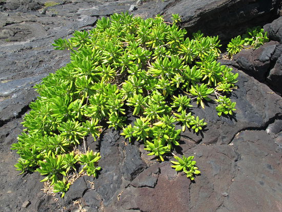Dank der Sonne hat des richtig geleuchtet