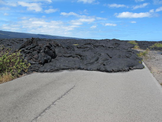Es gewinnt eigentlich immer die Natur