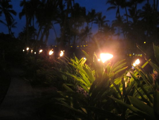 Im Garten, die Fackeln gibts echt auf jeder Insel in Hawaii