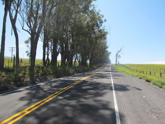 Weiter rauf gehts, für am Hang anfahren is automatik praktisch 