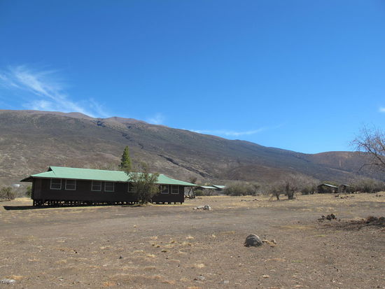 Dies is eine Flanke von ihm